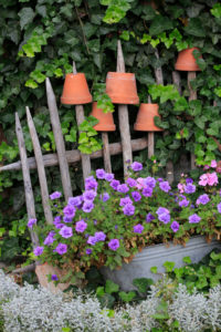 Old wooden fence with clay pots and flowers Old wooden fence with clay pots and flowers